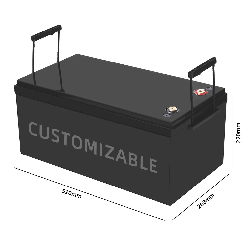 BPI 24V Solar Lithium Lifepo4 Battery 48V Golf Cart Battery With BMS Pack Of Aux Lithium Ions Golf Cart Battery 48V BMS