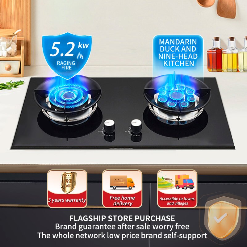 Portable 2-Burner Gas Cooktop Double Auto Ignition Tempered Glass Cookware for Household Camping Apartments Battery Operated LPG