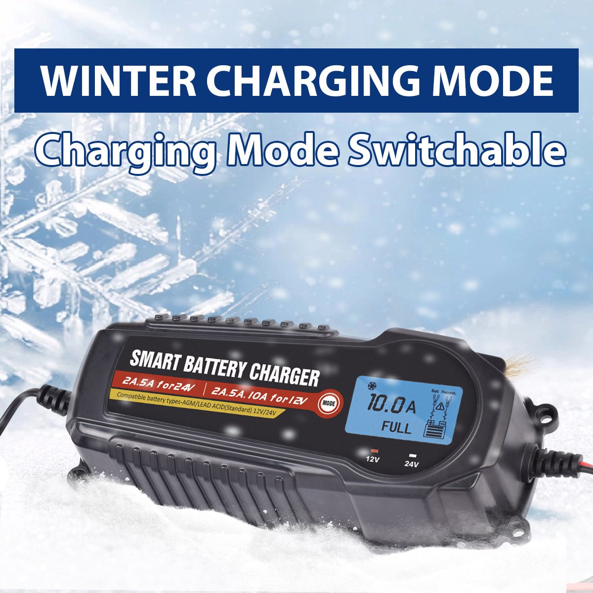 10 Amp 12 Volt Auto Battery Charger E Rickshaw Battery Charger Portable Battery 12v 24v Charger Motorcycle / Scooter EU/AU/UK/US