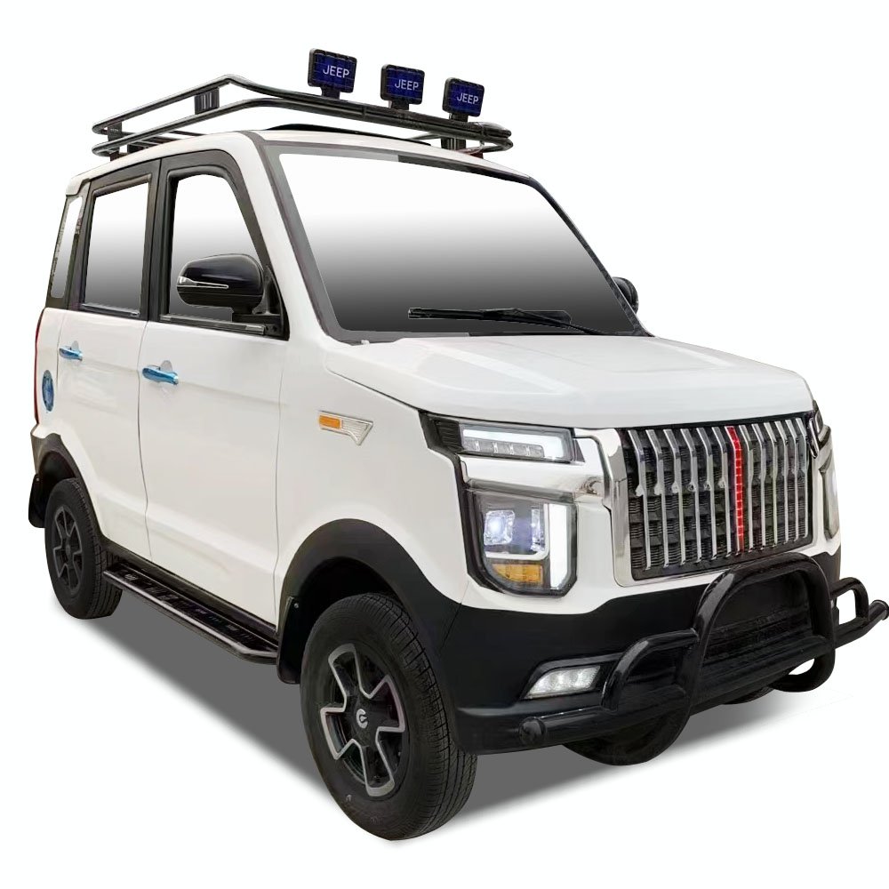 New Energy Electric Vehicle with Fashionable Appearance