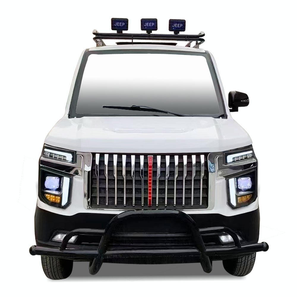 New Energy Electric Vehicle with Fashionable Appearance