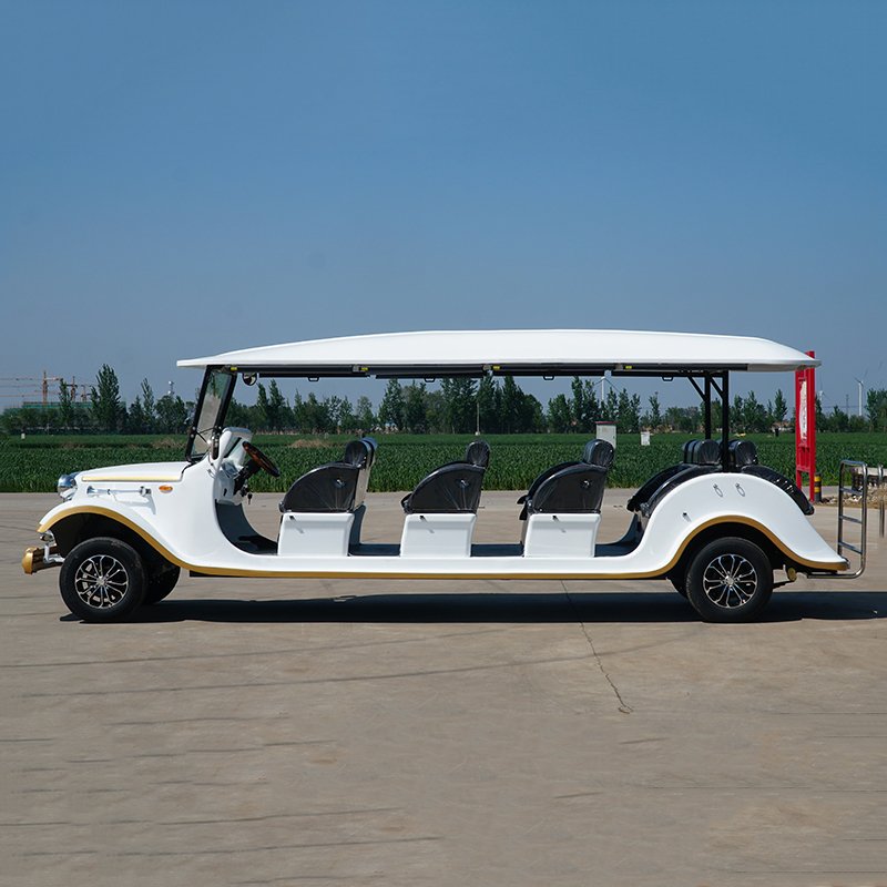 Factory High Quality Scenic Sightseeing Tour Bus Mini Golf Electric Cars With Best Price