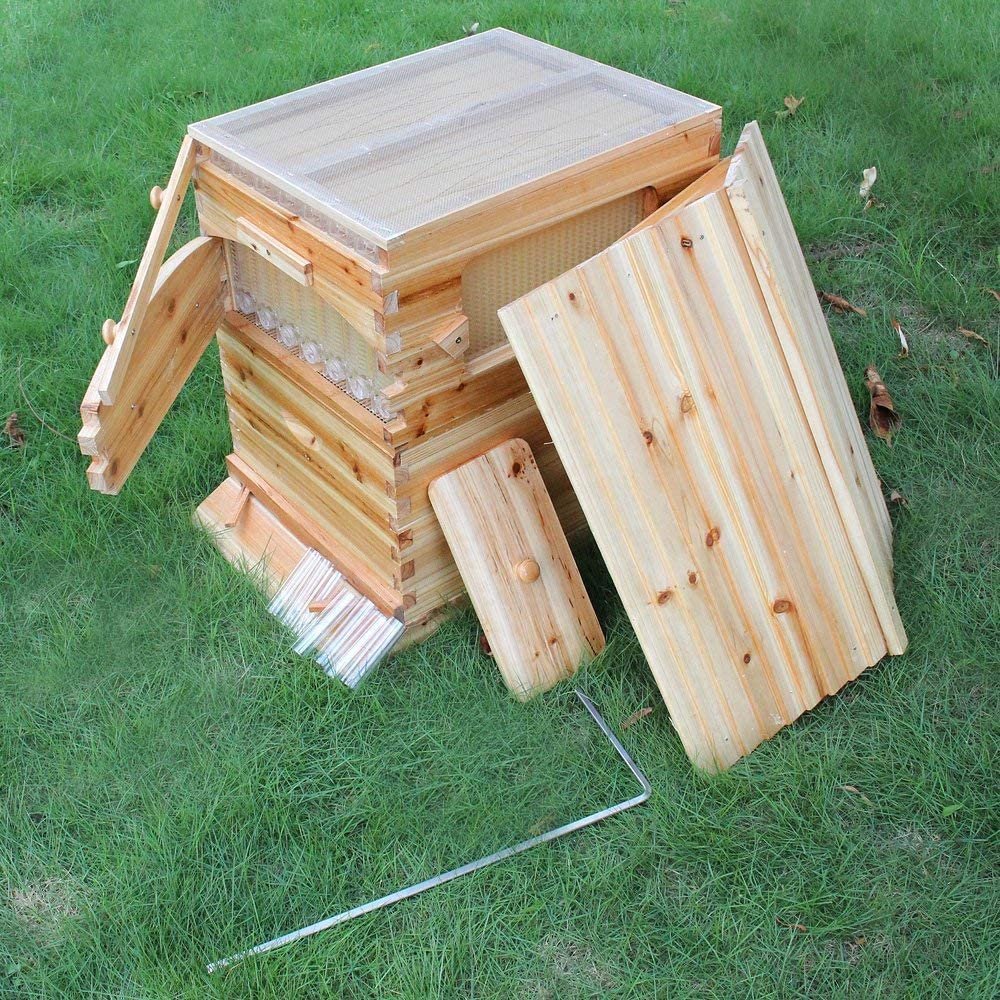 Flows Beehive Complete Kit Bee Hives Boxes Starter Kit