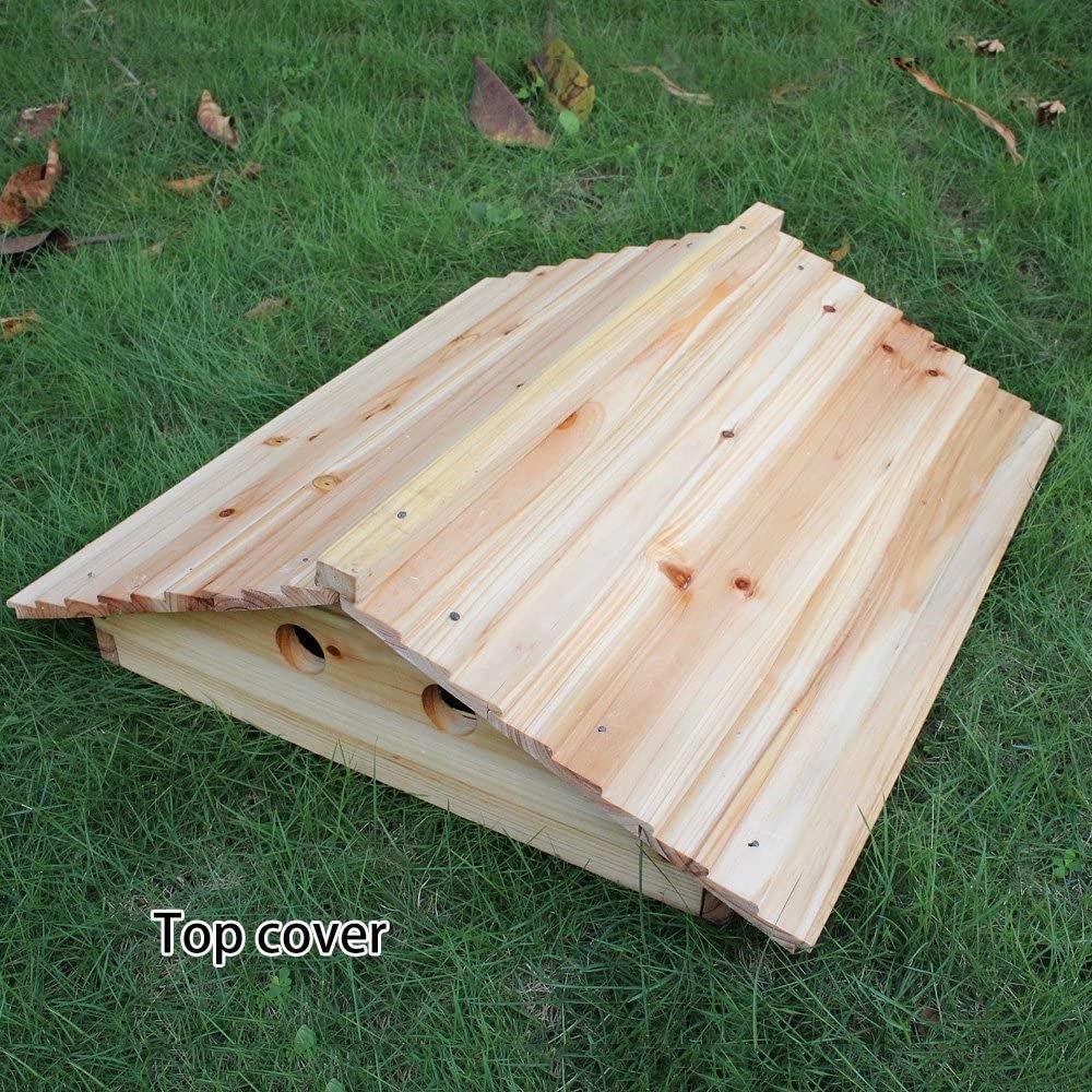 Flows Beehive Complete Kit Bee Hives Boxes Starter Kit