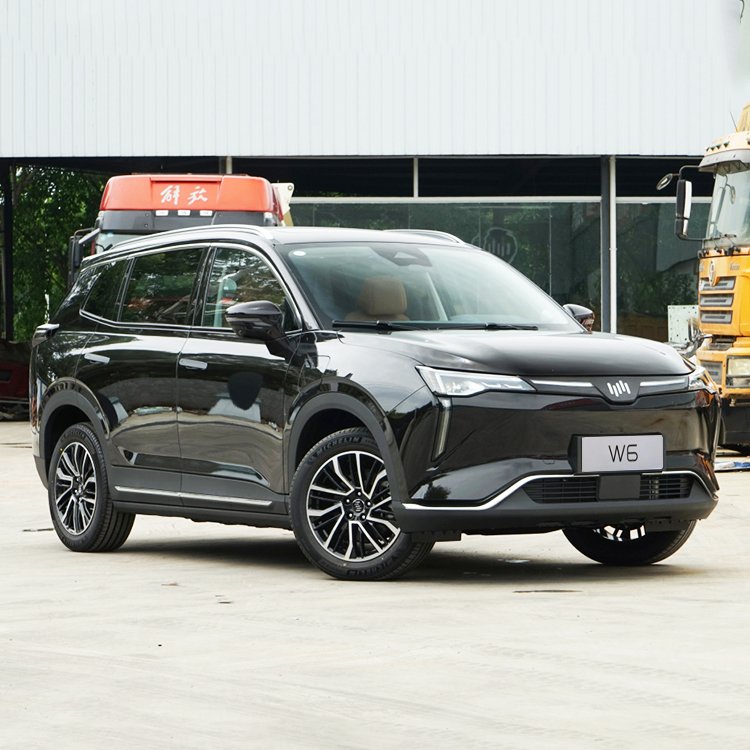 Auto Wm Motor W6 2024 2023 2022 520Km Pro All-Round High Speed in Stock Five Seats Long Battery Life New Energy Car