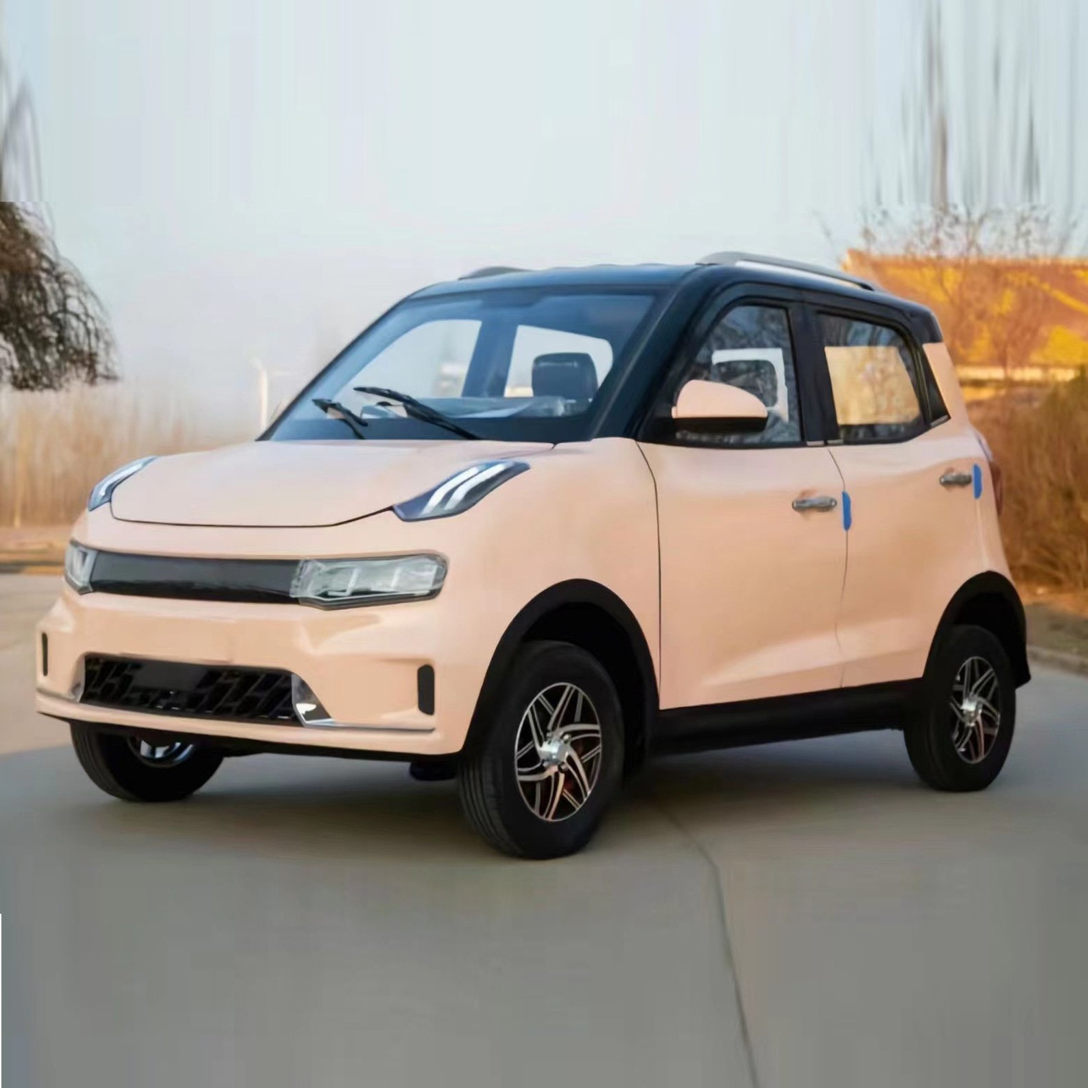 Mini Electric Vehicle 3000W Electric Four Wheeled Vehicle Electric Cars