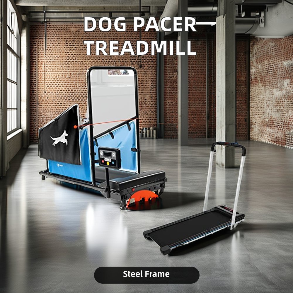 Electric Indoor Dog Pacer Treadmill for Healthy & Fit Pets up to 130 Lbs with LED Screen & Wireless Heart Rate Test for Home Use