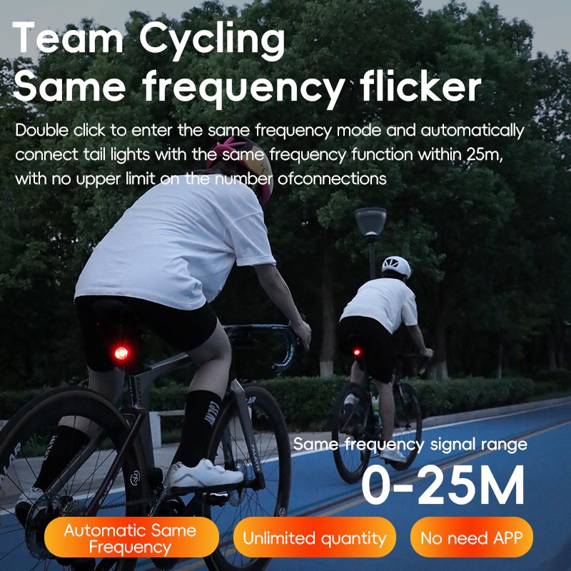 Team Sync Tail Light Auto Brake Sensing Bicycle Rear Light LED Rechargeable Waterproof Cycling Taillight