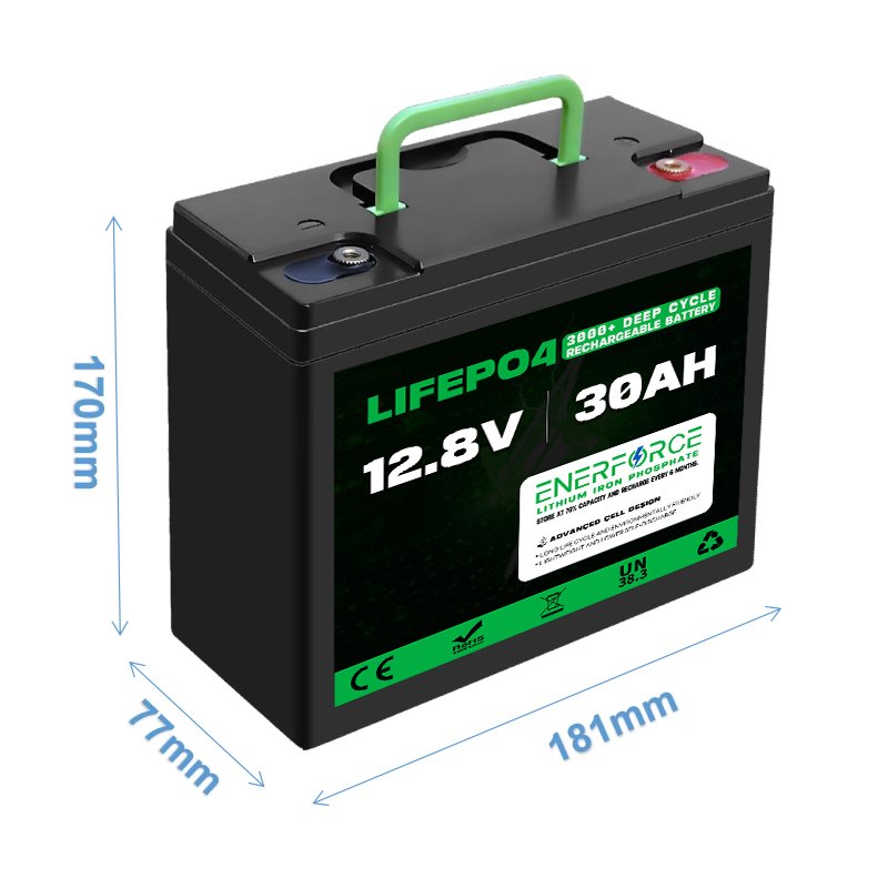 Enerforce 12v 30ah Lifepo4 Battery Pack 12v 10ah 20ah 30ah 50ah Lithium Iron Phosphate Battery for Golf Cart Motorcycle