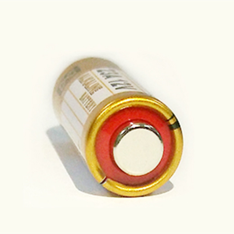 Super Dry Cell 23A 12V A23 L1028 Mn21 Alkaline Battery Factory For Remote Control Toys Consumer Electronics Power Tools