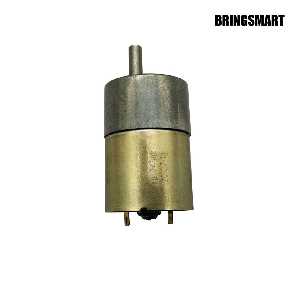 BRINGSMART 24V Micro Motors, Namely, Alternating Current Motors Not for Land Vehicles 12V DC With High Torque Reversible
