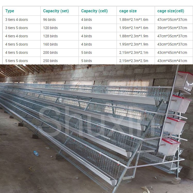 500 Chicken Breeding Automatic Laying Hen / Egg Layer Battery a Type Chicken Cage for Poultry Farming
