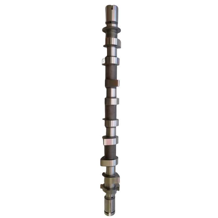 8200978873 High Performance Camshaft Engine Part 2.3KG 1.5DCI Chilled Cast Iron Camshaft for Renault OE 8200 978 873