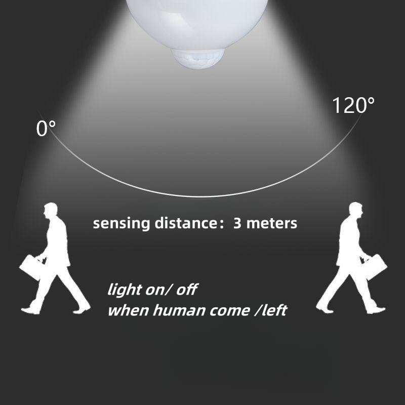 Motion Sensor LED Light Bulb for Nighttime Landscape Use for Corridors and Outdoor Spaces