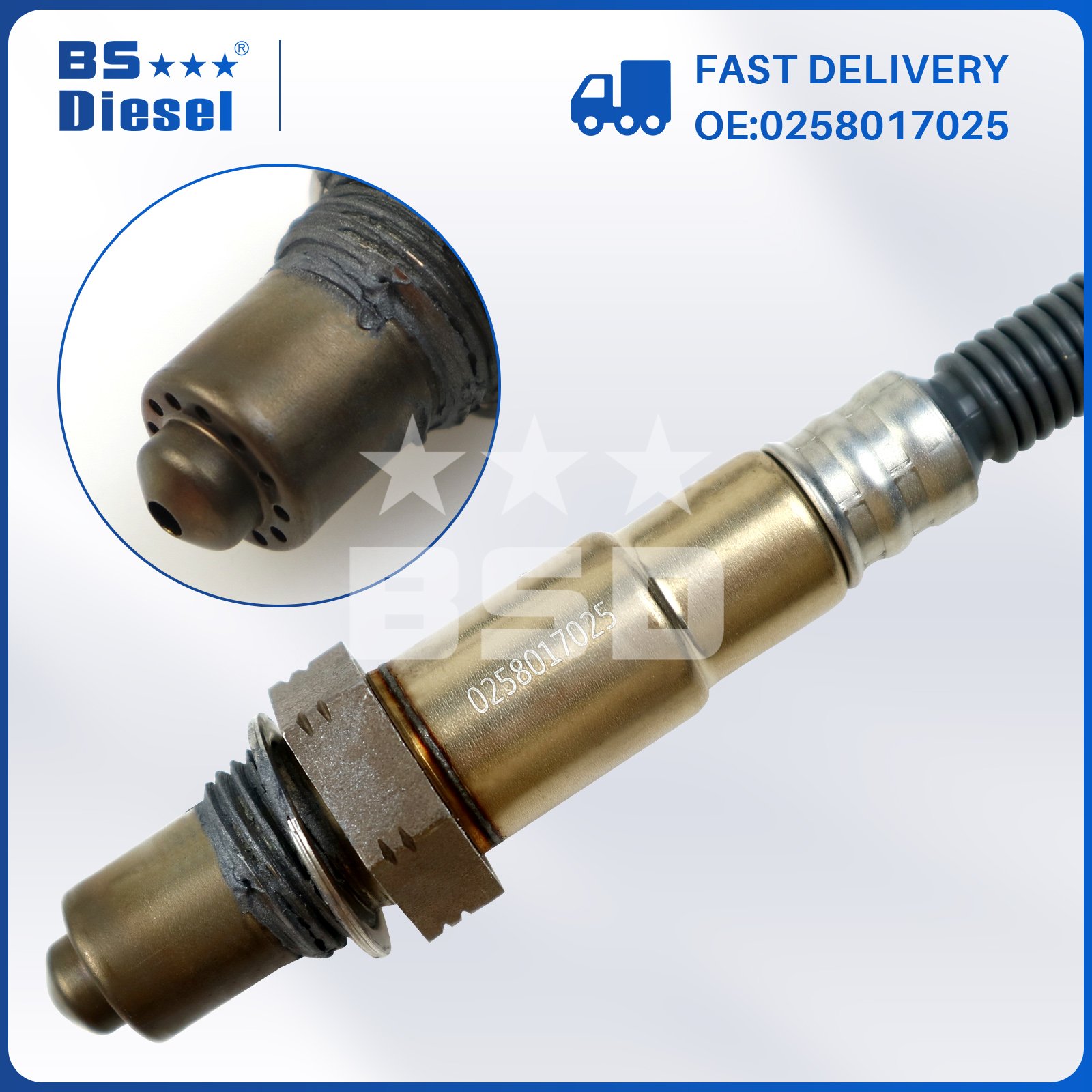 0258017025 Auto Sensors 5 Wire LSU 4.9 Lambda O2 Oxygen Sensor for Various of Vehicles