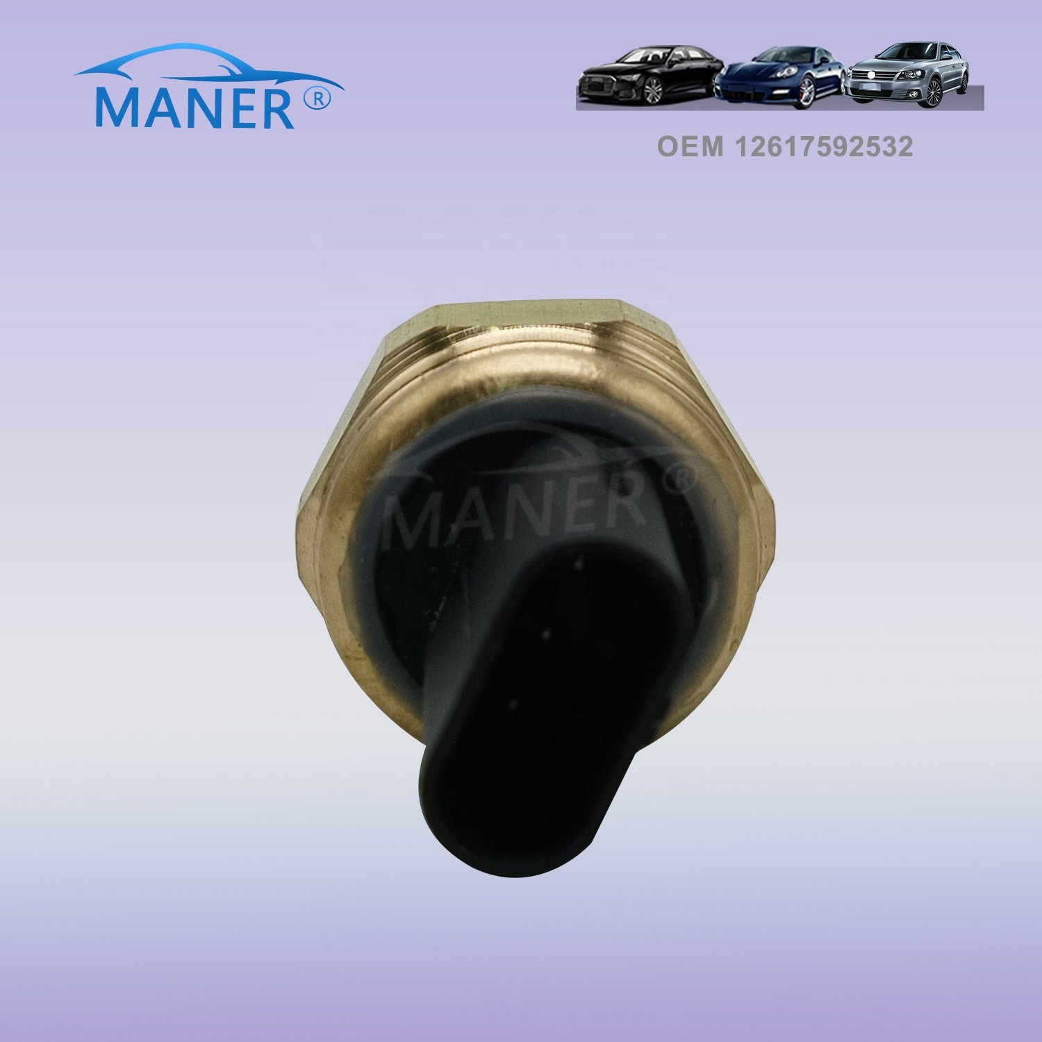 12617592532 Auto Chassis Part Electricity Sensor Oil Pressure Switch Sensor for BMW F20 E88 E82 F30 F80 E93 E92 E91 N13 B16 a