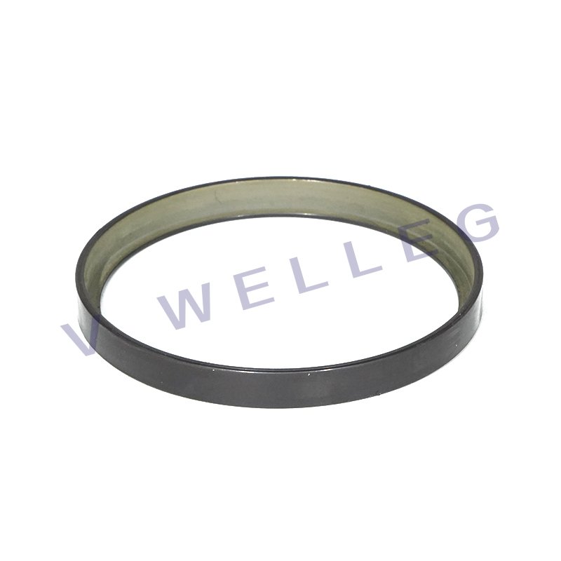 Car Accessories ABS Sensor Ring Wheel 454919 for Peugeot 207/208/2008/301/Citroen C2/C3/C4/C5/C6