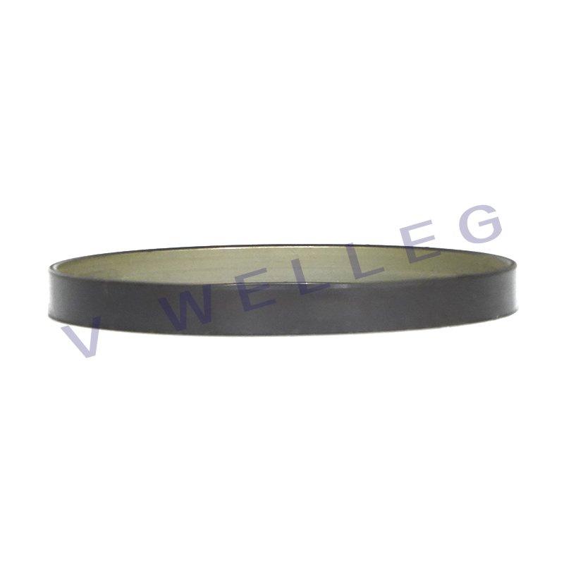 Car Accessories ABS Sensor Ring Wheel 454919 for Peugeot 207/208/2008/301/Citroen C2/C3/C4/C5/C6