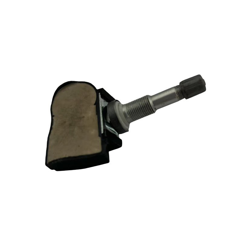 Oe Standard Tire Pressure Sensor TPM Sensors TPMS 1074812-00-B 1034602-00-A for Tesla Model 3/S/X