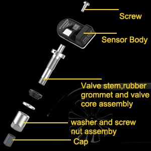CGSULIT TS01 Sensor Car Support Replace Metal/Rubber Valves More Compatible Tools Auto TPMS OBD Pressure Sensors