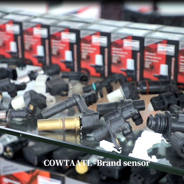 All Car Sensor of O2 Oxygen/Abs Speed/Air Flow Meter Maf/Coolant/Crank Shaft Crankshaft Camshaft/Map Position/Fuel Rail Pressure