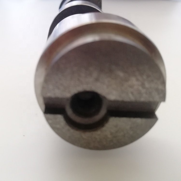 1077058 High-quality Auto Engine Parts Chilled Cast Iron Material 1.8TDi Camshaft for Ford OE 1077058