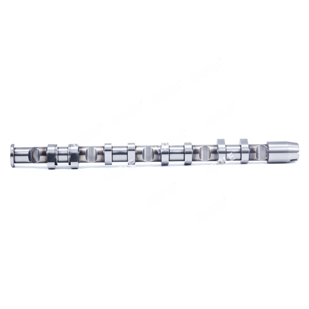 Other Auto Engine Accessories Camshafts Bearing Bushes Intake Exhaust Camshaft Set 06F109101 for Ea113 C62.0T