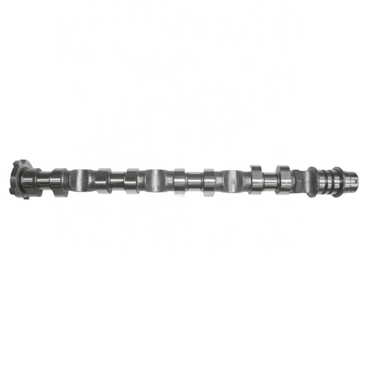 484H-1006010 High Performance Auto Engine Parts Chilled Cast Iron Engine Intake Camshaft Fits for Chery OE 484H-1006010