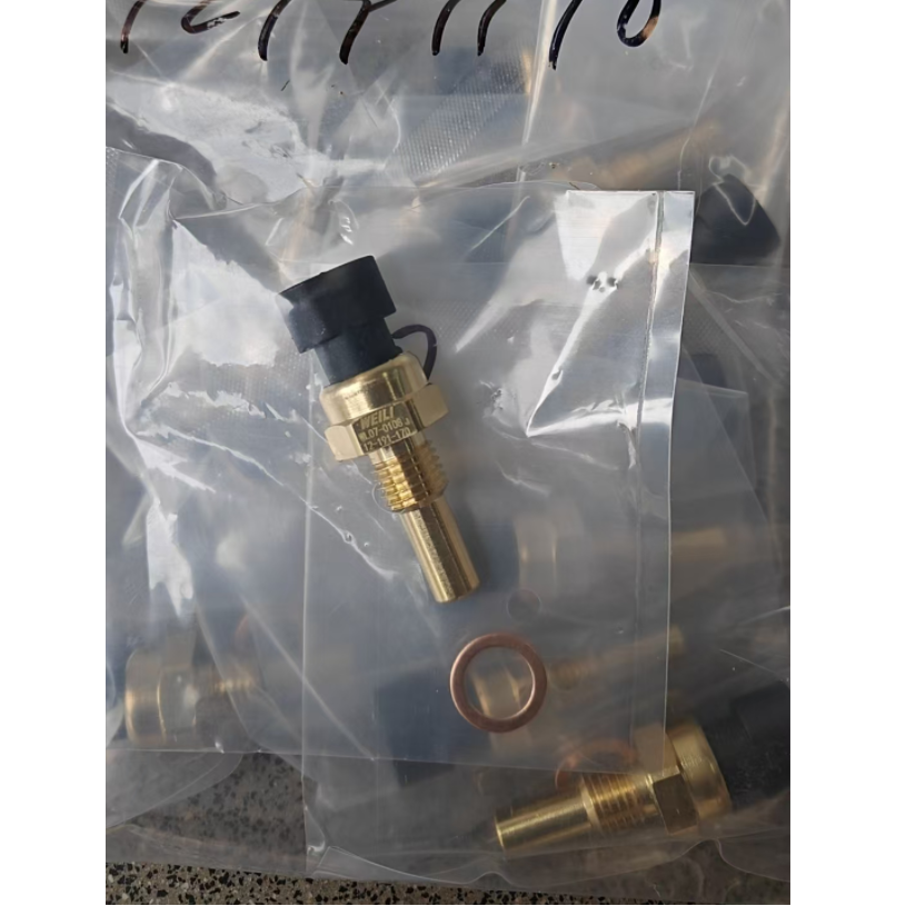 Wholesale Price Car Engine Coolant Water Temperature Sensor 12191170 1338477 for Chevrolet Daewoo Auto Spare Parts High Quality