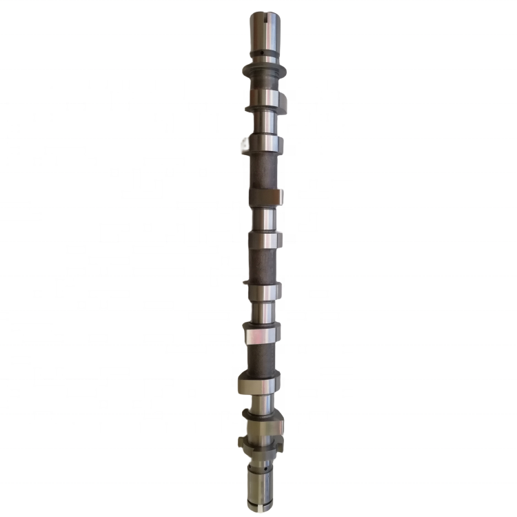 8200978873 Engine Part 2.3 KG 1.5DCI Chilled Cast Iron Material Camshaft for Renault OE 8200978873