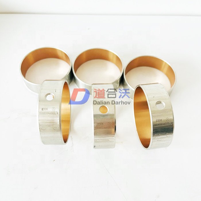 Camshaft Bush Bearing 04200022 for TCD2013 L06 2V deutz Engine