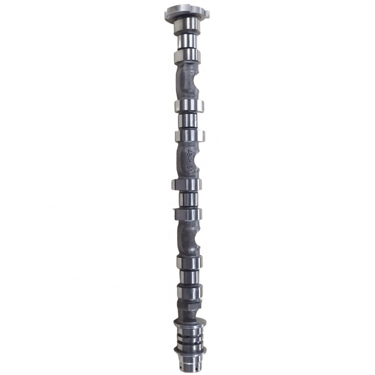 484H-1006030 Auto Spare Accessories Vehicle Parts Engine Parts Chilled Cast Iron Exhaust Camshaft for Chery OE 484H-1006030