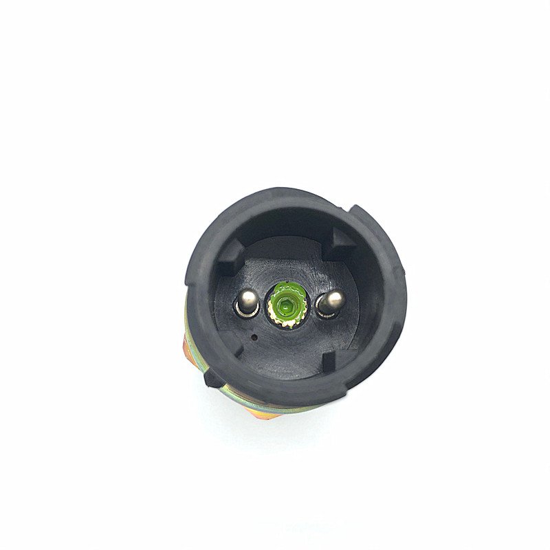 Auto Sensor Pressure Sensor for Truck Spare Parts 20424060 70495158 3963479 20424051 70495157 3963471