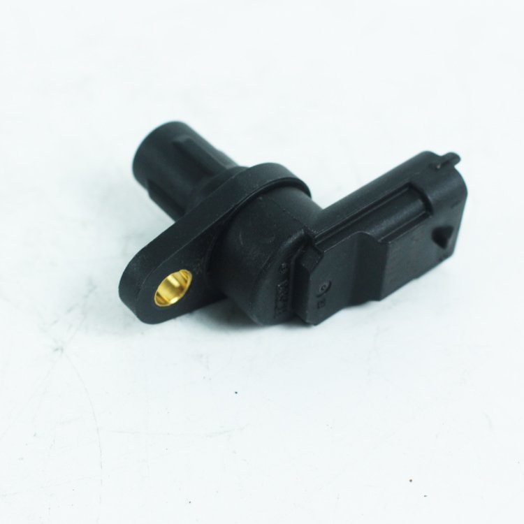 Camshaft Position Sensor 1002050CAT High Quality Camshaft Sensor Auto Part Sensor For JMC