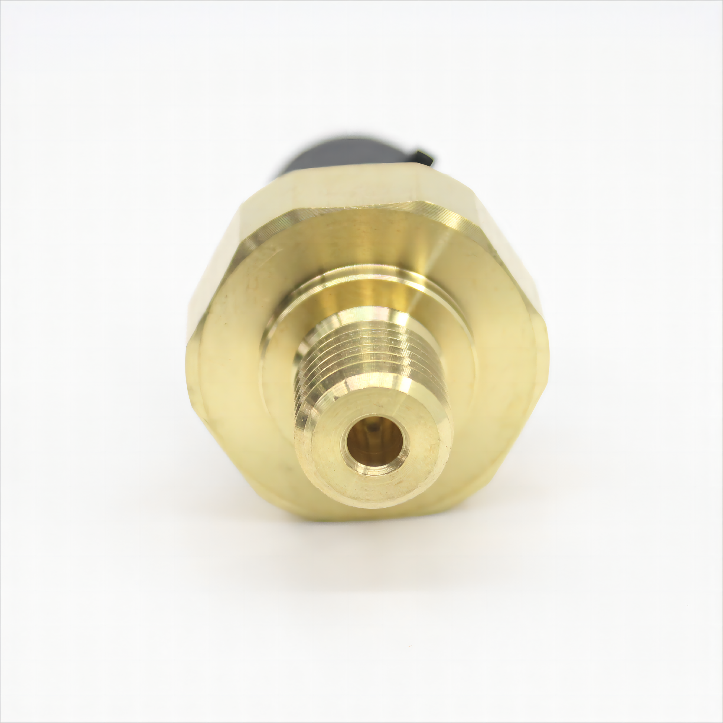 Truck Engine Parts Auto Parts Oil Pressure Sensor 9795420318 for MERCEDES-BENZ