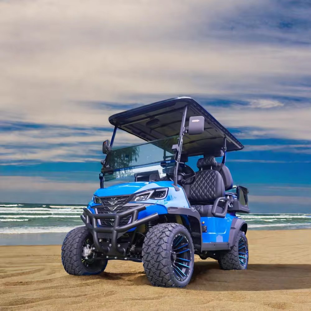 Tong Cai Henan 6 Seater Custom 4 X 4rear Seat Kit 4wheel 2500w Electric Gas Operated 4seat Gasoline Ebike Lifepo4 Golf Cart