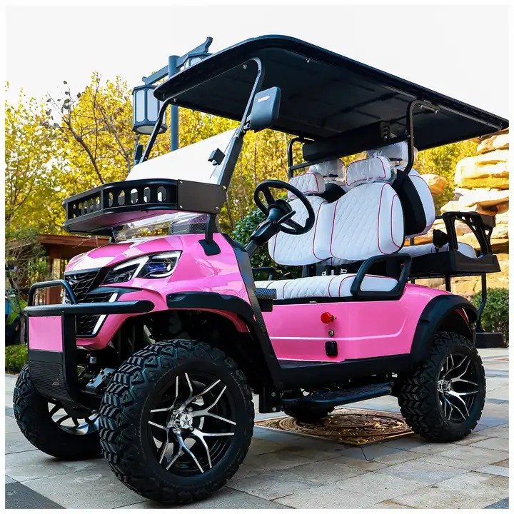 Tong Cai Henan 6 Seater Custom 4 X 4rear Seat Kit 4wheel 2500w Electric Gas Operated 4seat Gasoline Ebike Lifepo4 Golf Cart