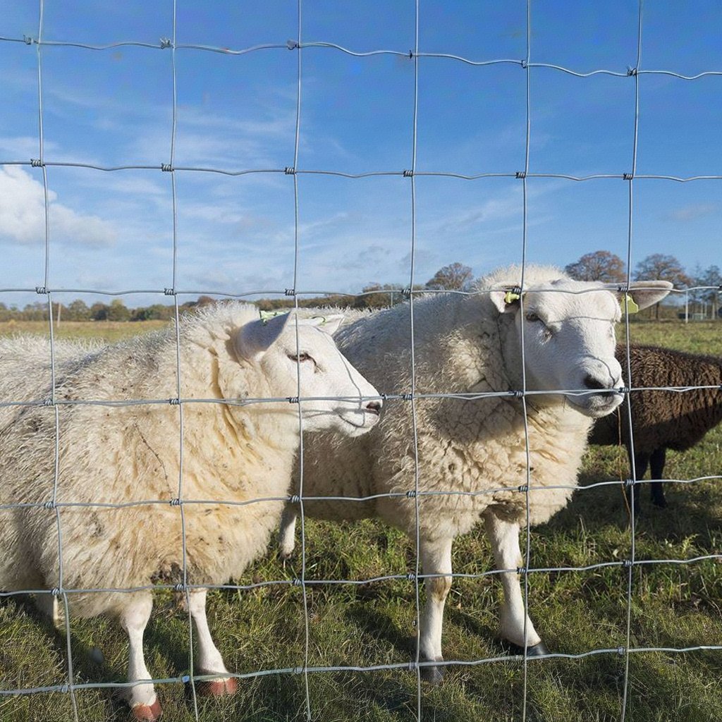 Hinge Joint Cattle Fence/grassland Fence/ Cattle Fence& studded T Post with Spade & Barbed Wire