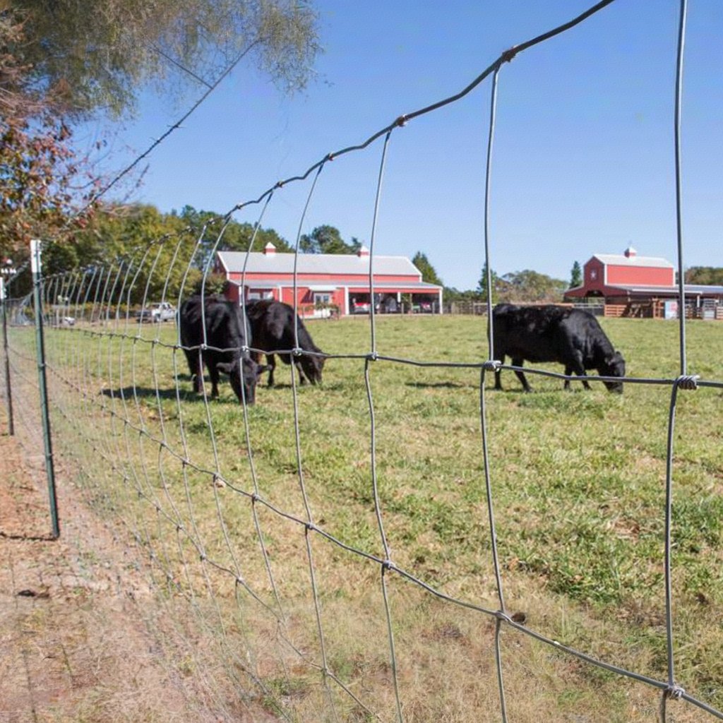 Hinge Joint Cattle Fence/grassland Fence/ Cattle Fence& studded T Post with Spade & Barbed Wire