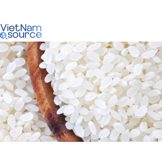 High-Quality Japonica Rice Smooth and Creamy Risotto Dishes- Consistent Grain Texture From Trusted Supplier Vietnam