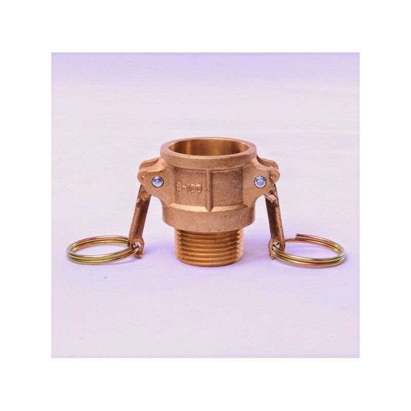 Top Quality Quick Couplings Camlock Serie in Brass with Standard Gasket in EPDM for Export