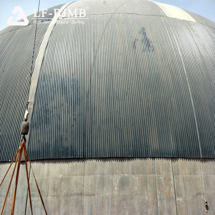 Large Span Steel Structure Space Frame Dome Coal Storage Shed Building