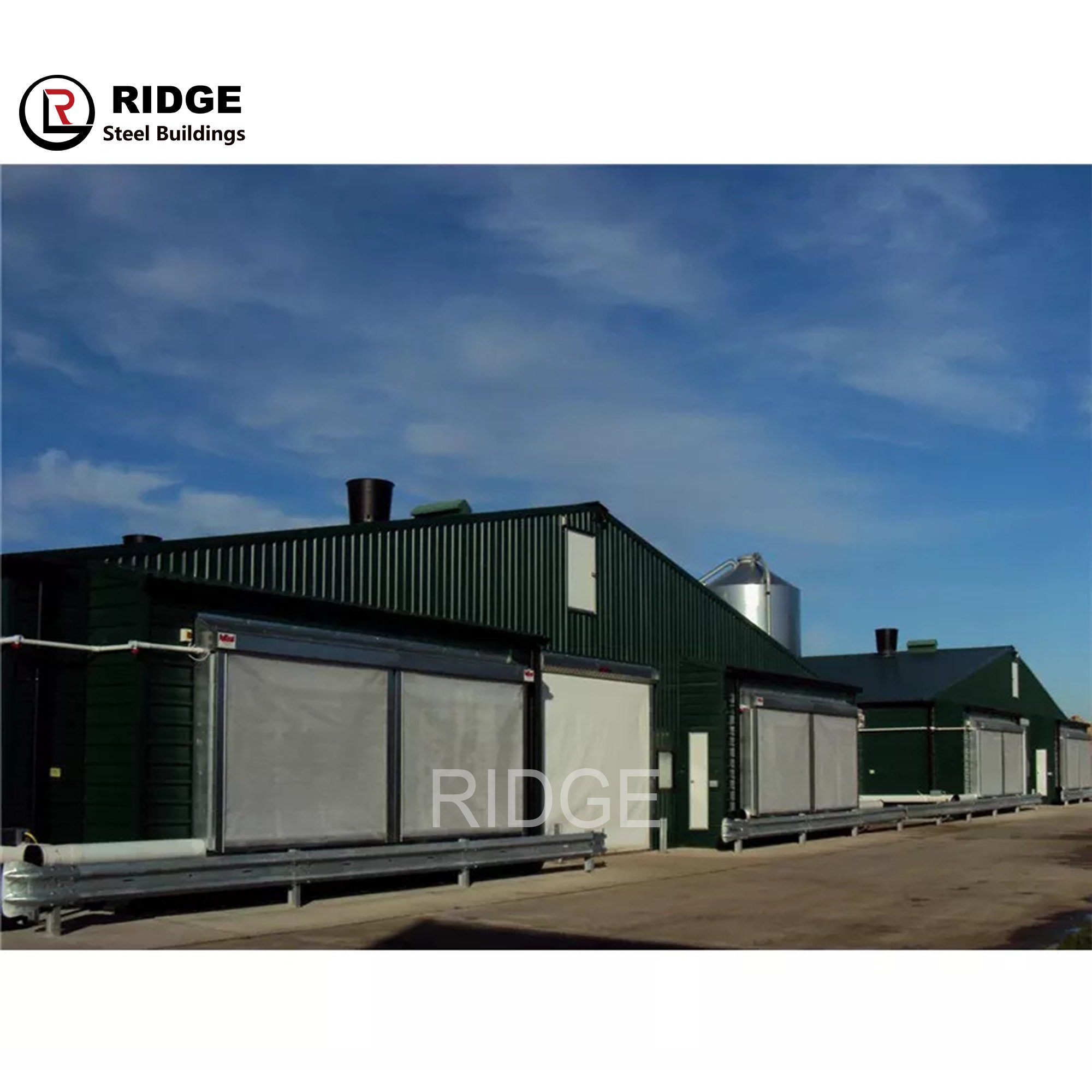 Prefabricated Layer Cages Egg Chicken Building Steel Structure Factory Production Broiler/layer Poultry Farm House Design