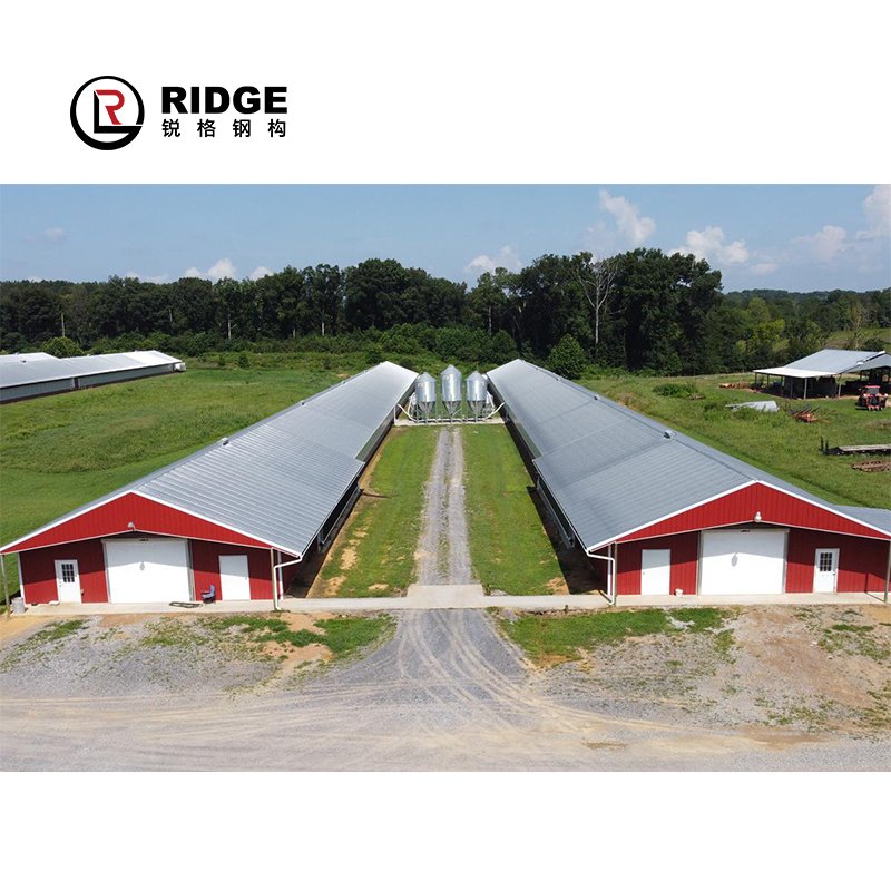 Prefabricated Layer Cages Egg Chicken Building Steel Structure Factory Production Broiler/layer Poultry Farm House Design