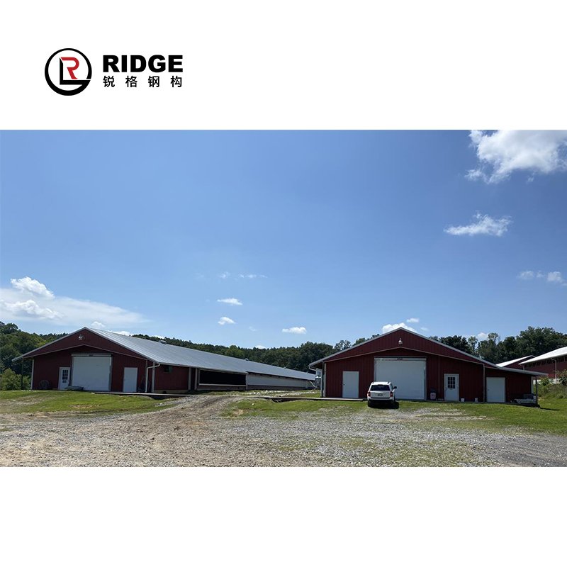 Prefabricated Layer Cages Egg Chicken Building Steel Structure Factory Production Broiler/layer Poultry Farm House Design