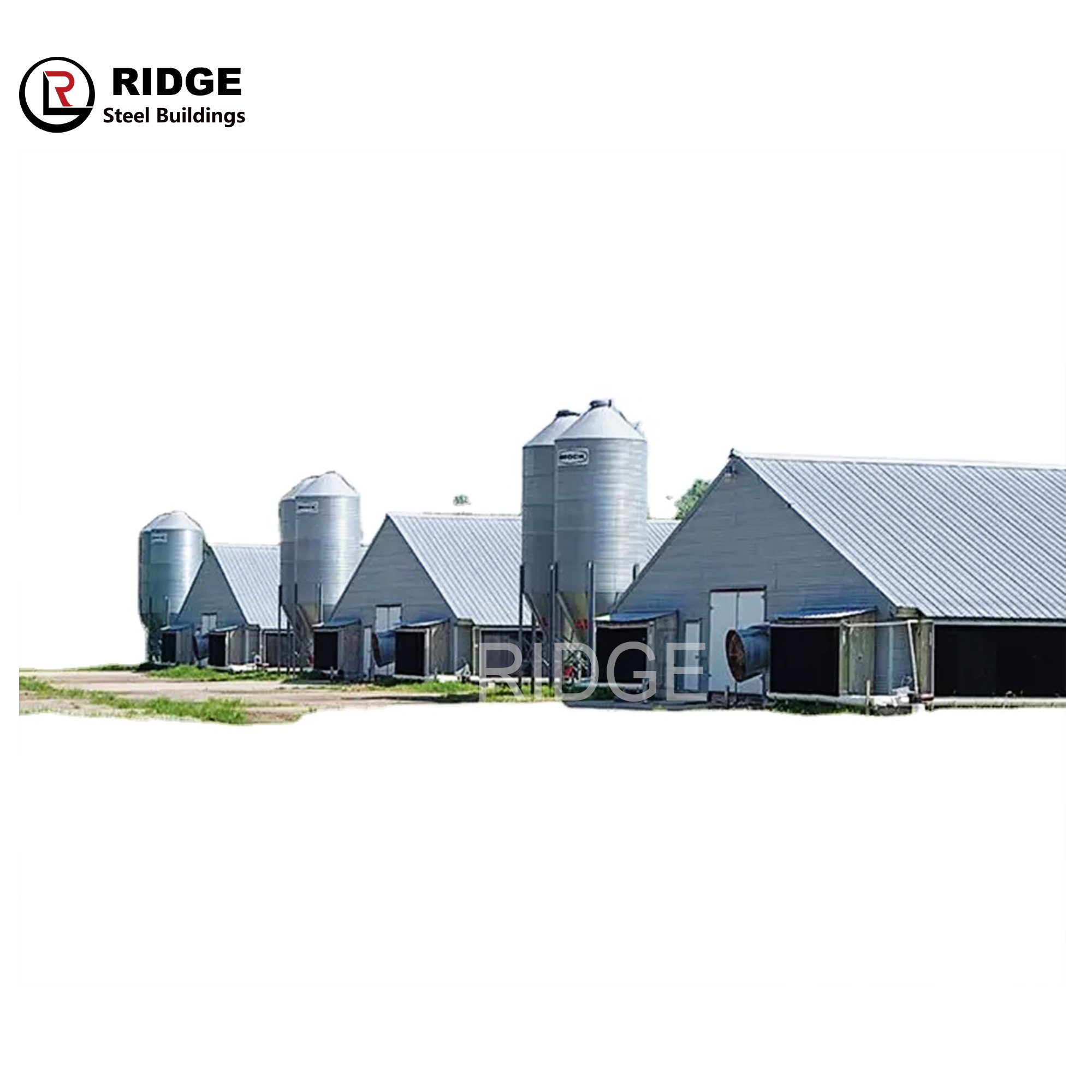 Prefabricated Layer Cages Egg Chicken Building Steel Structure Factory Production Broiler/layer Poultry Farm House Design