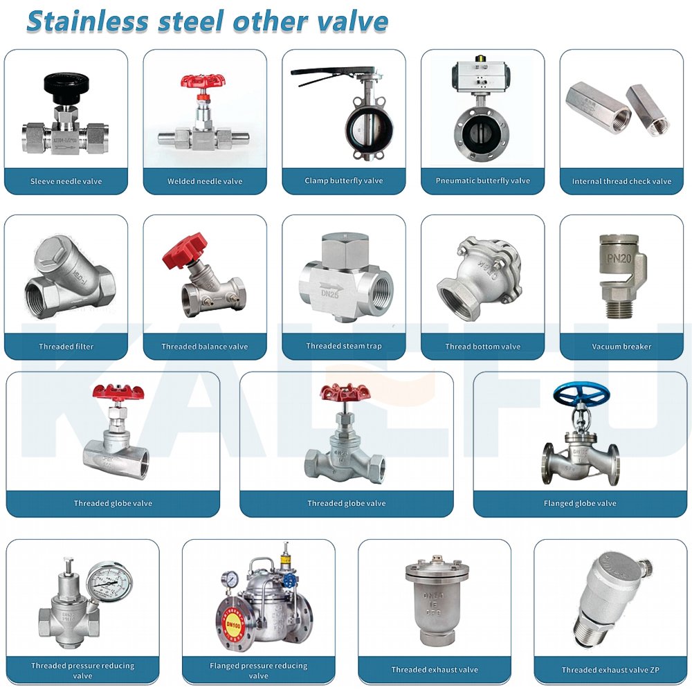 SS304 316L Sanitary Stainless Steel Ball Type Flange Joint Non Return Vertical Wafer Clamp Check Valve Silent One-Way Valves