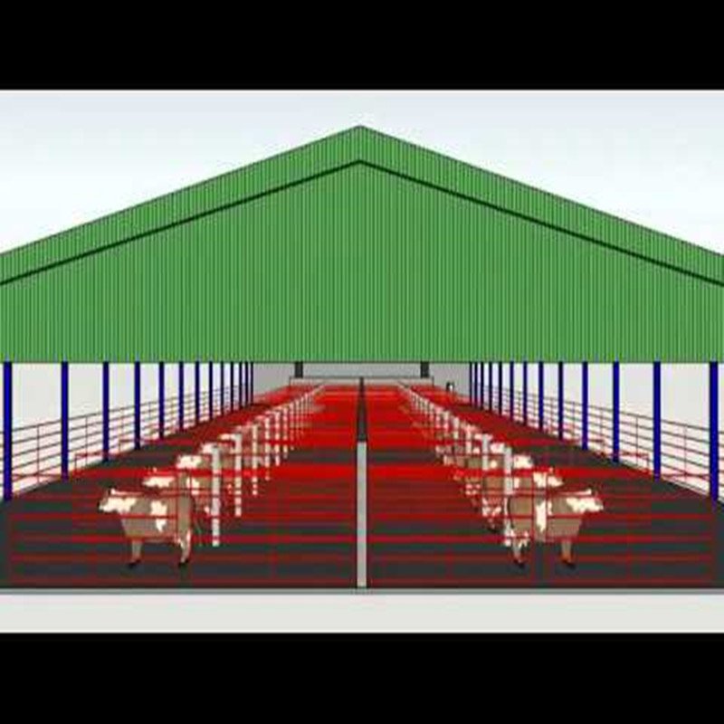 Dairy Cow Shed Construction Cattle House Steel Structure Cow Farming