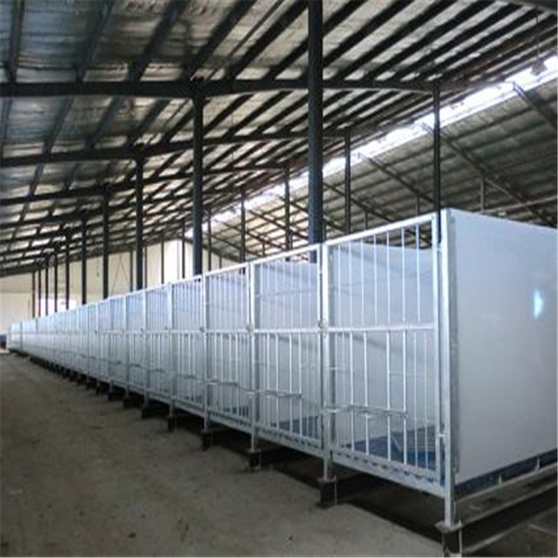 Dairy Cow Shed Construction Cattle House Steel Structure Cow Farming
