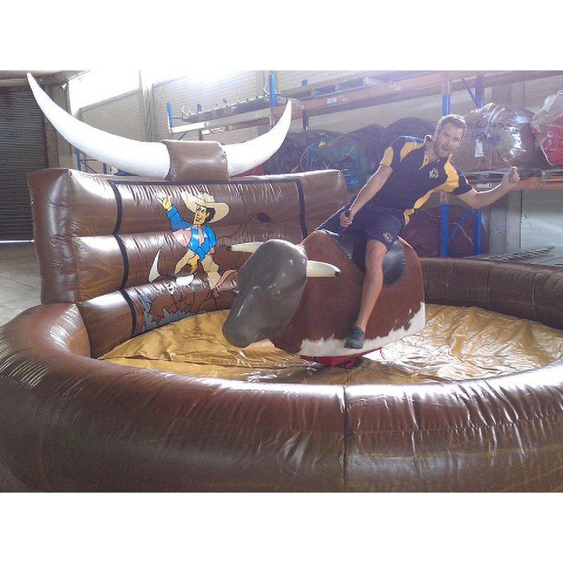 Party Inflatable Adult Games Shark/penis/ball/camel/horse/can Mechanical Bull Riding for Adults Outdoor